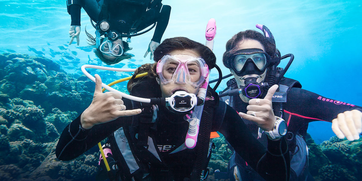 Scuba diving holidays from local dive masters