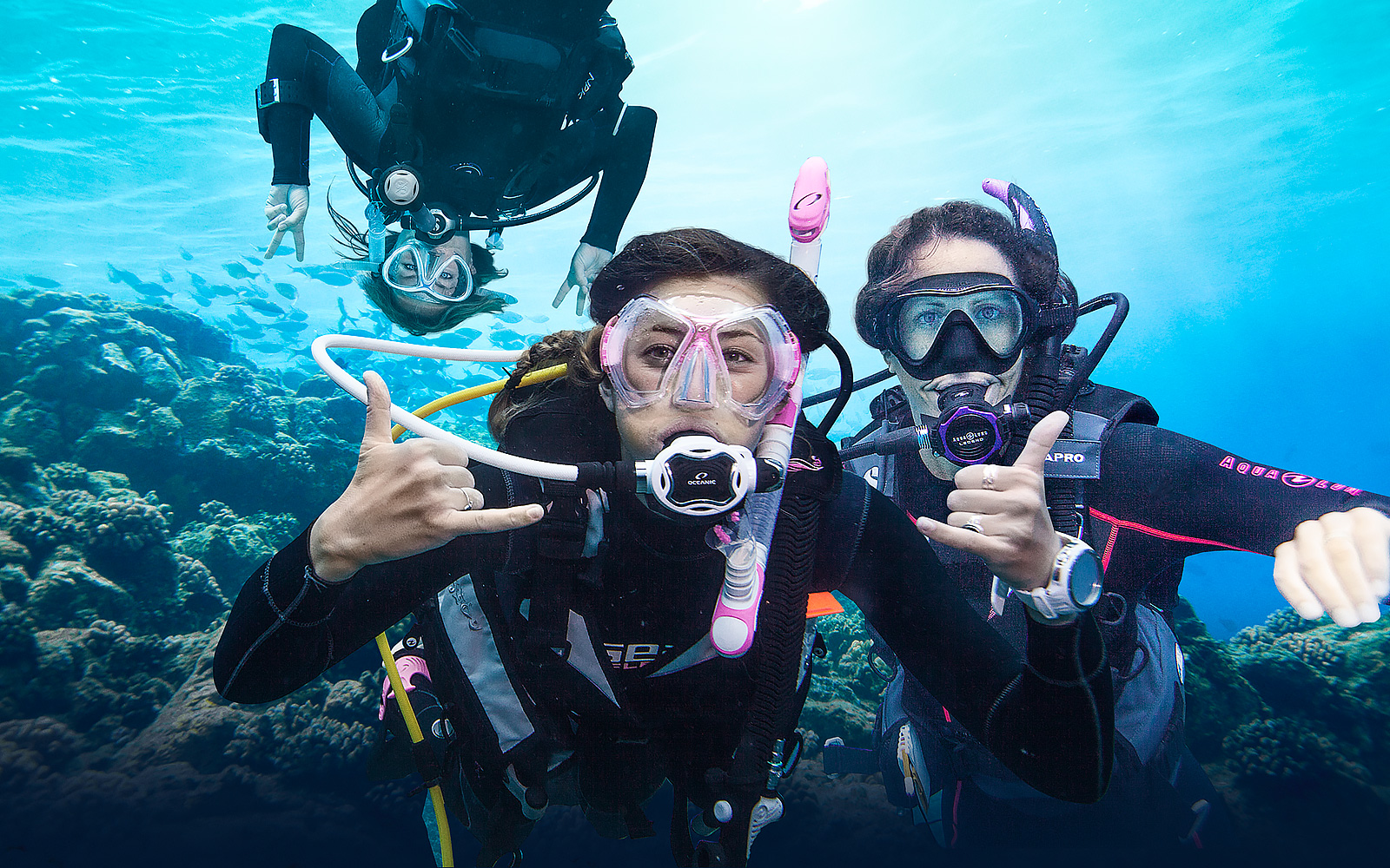 Scuba diving holidays from local dive masters